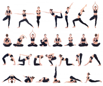10 tư thế yoga cơ bản quan trọng nhất và các lớp học yoga cho người mới tập
