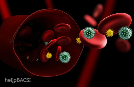 Nhiễm trùng máu và ung thư máu: Điểm giống và khác nhau