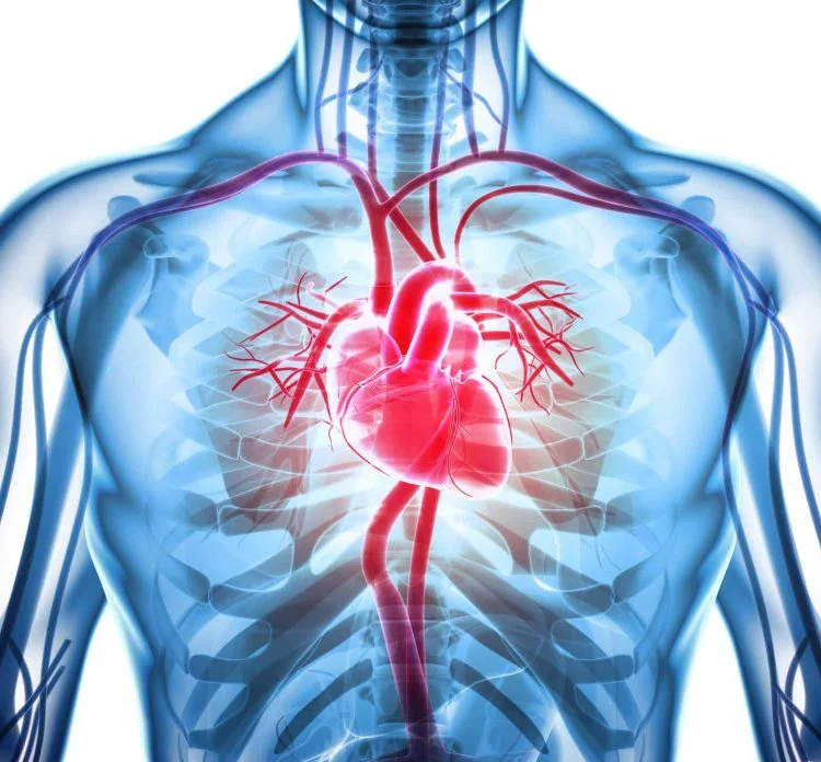 tác hại của bệnh động kinh đối với hệ tim mạch