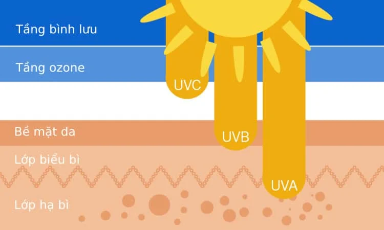Tại sao làn da nhạy cảm cần được bảo vệ bởi kem chống nắng