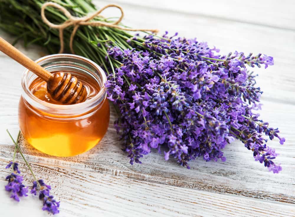 cách dưỡng ẩm cho da khô bằng mật ong và hoa oải hương