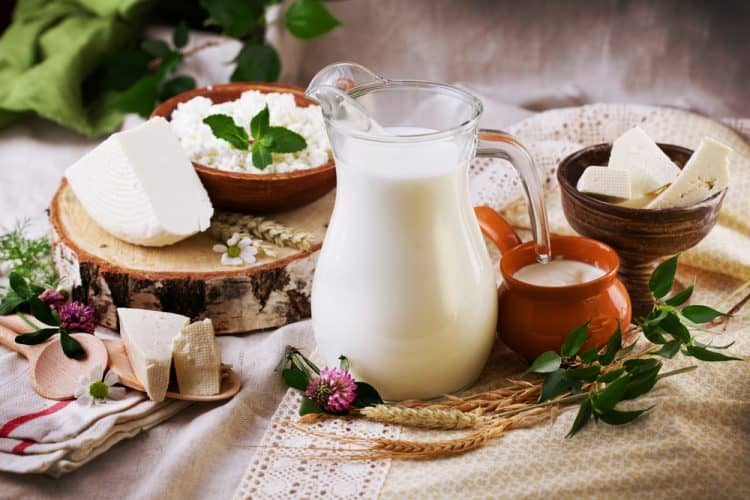sữa và các sản phẩm từ sữa 