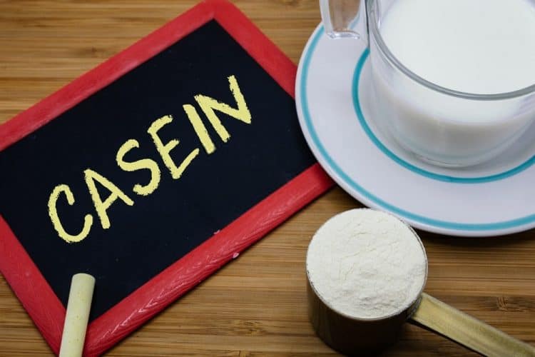 Casein protein là dạng protein hấp thụ chậm