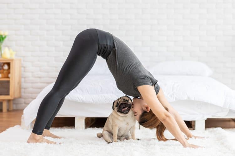 bài tập yoga buổi sáng là tư thế chó úp mặt