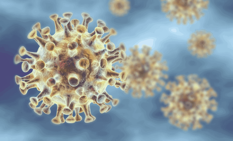 Hình ảnh virus corona 