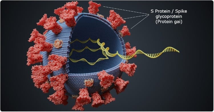 protein gai của virus SARS-CoV-2