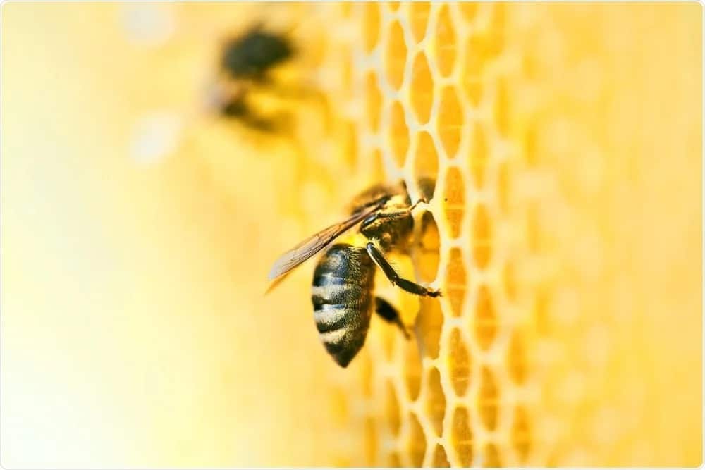 tác dụng của mật ong