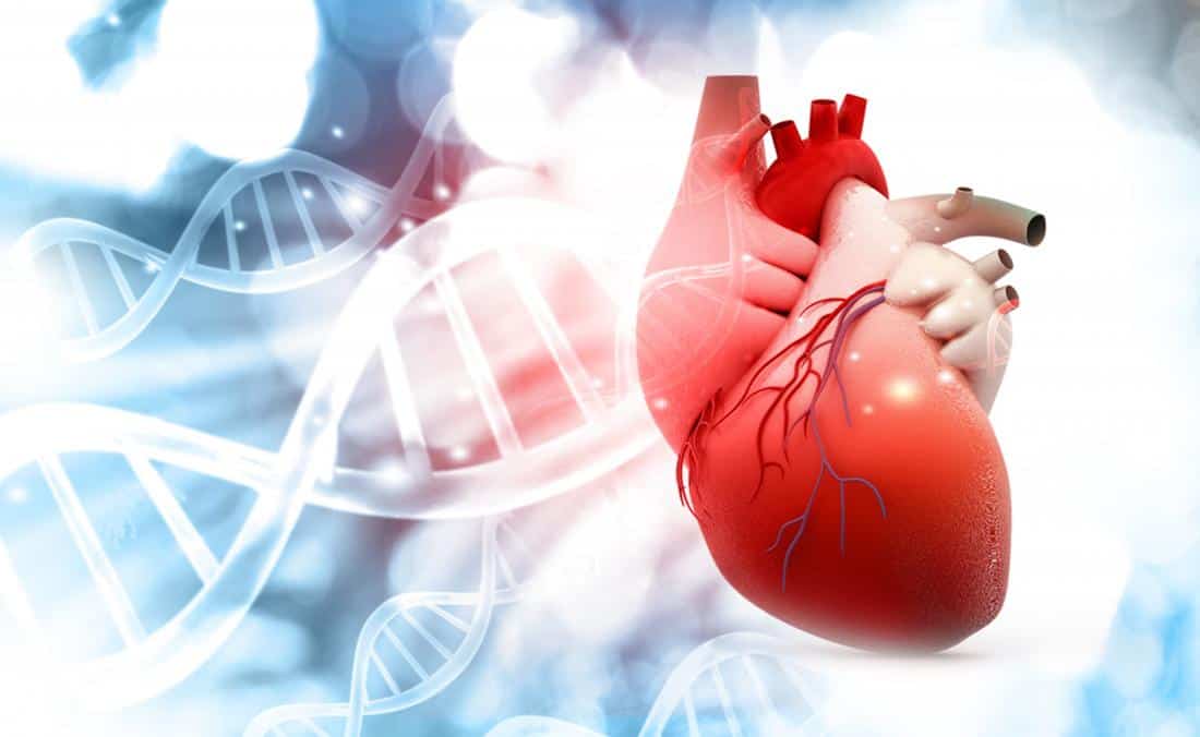 yếu tố ảnh hưởng đến tiên lượng bệnh suy tim sống được bao lâu